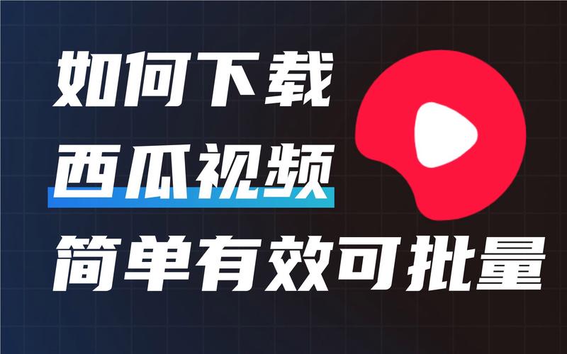 西瓜视频横屏版最新版