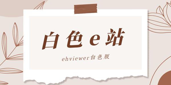 白色E站安装