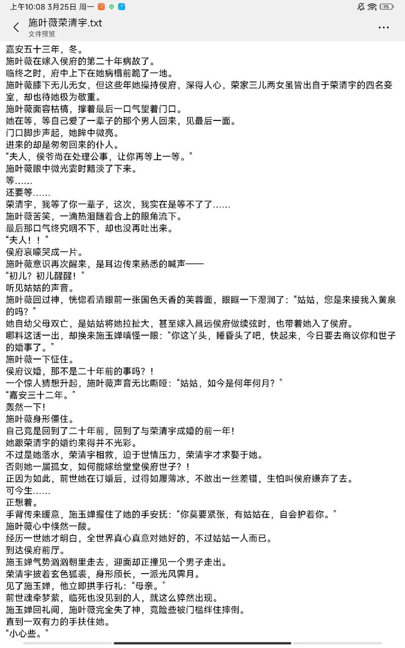 小说 下载贺岁版