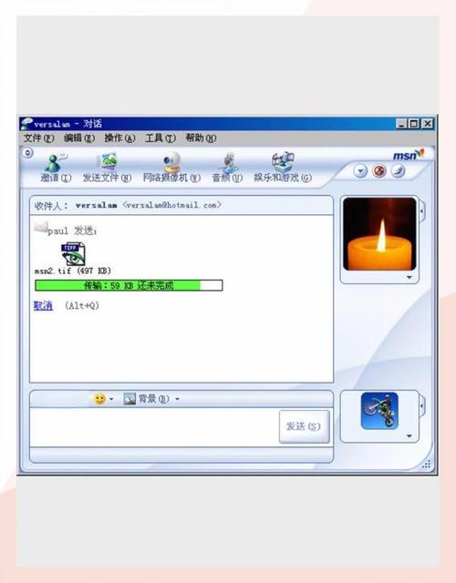 下载msn软件剪辑版