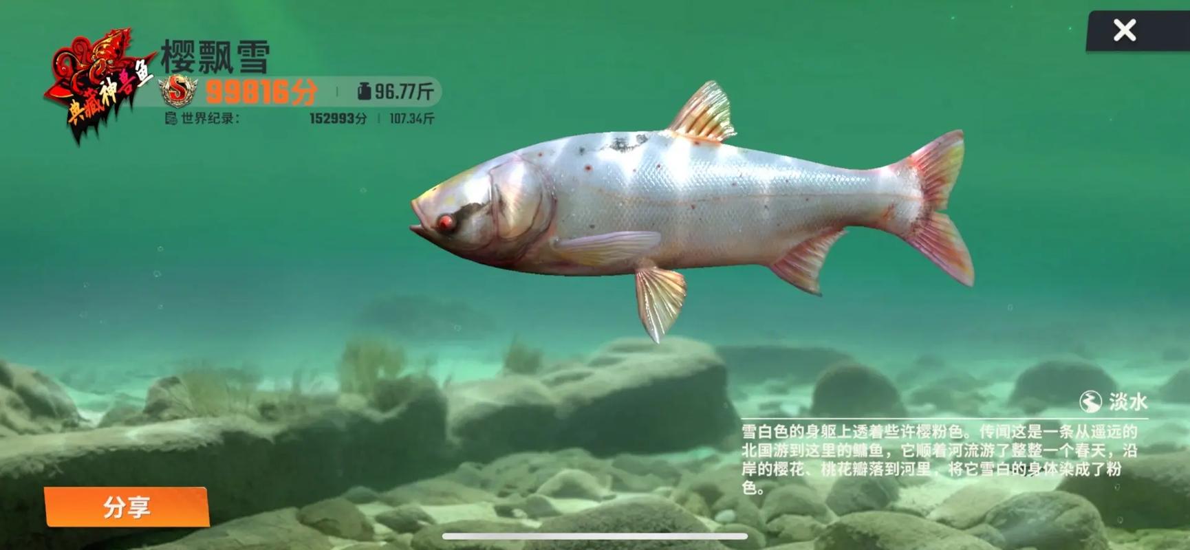 欢乐钓鱼