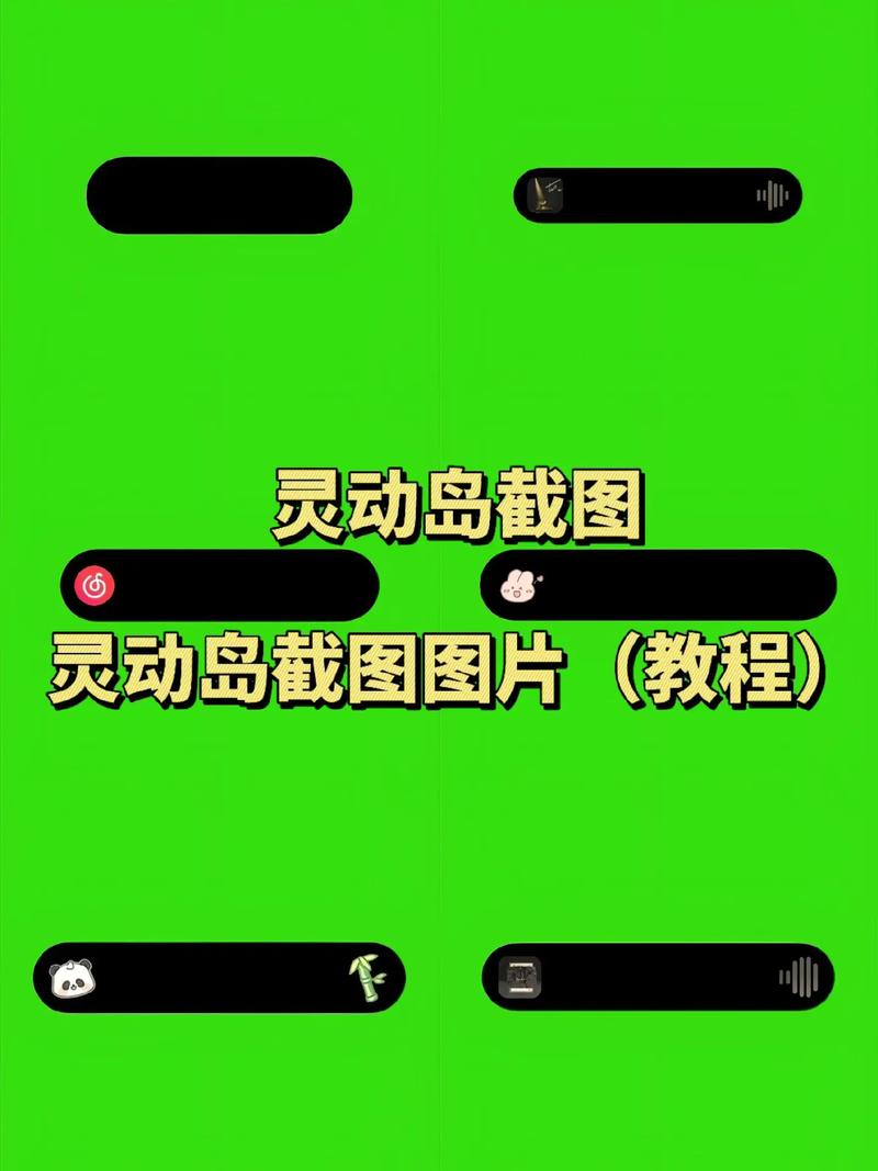 dynamicspot破解版中文版