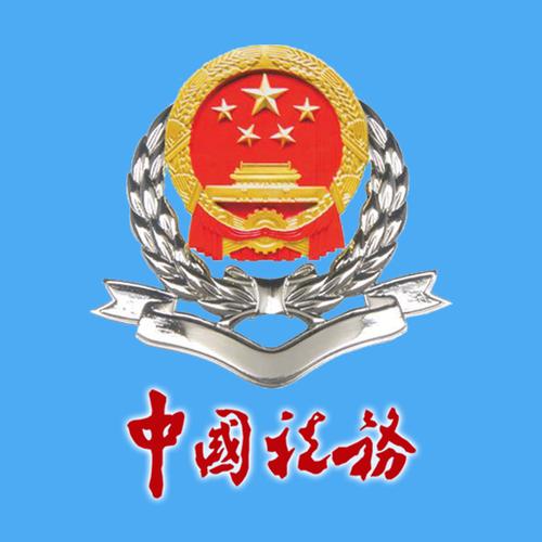 山东省电子税务局