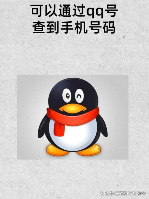 qq空间查询器最新无限金币版