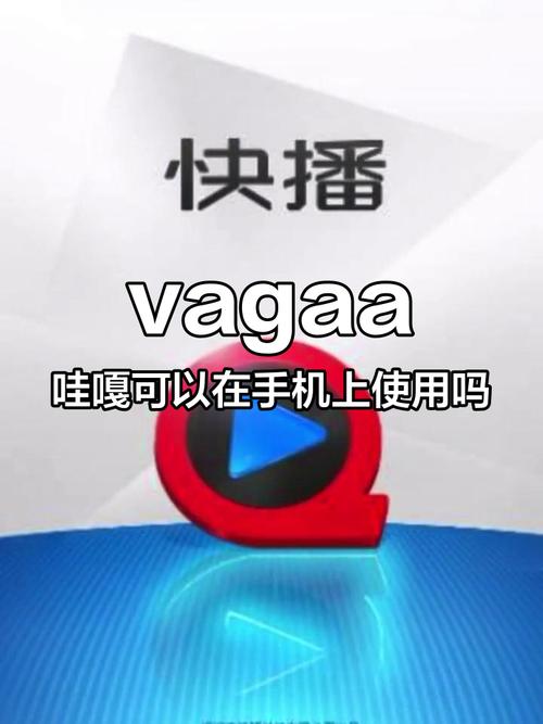 vagaa用什么播放器蓝牙破解