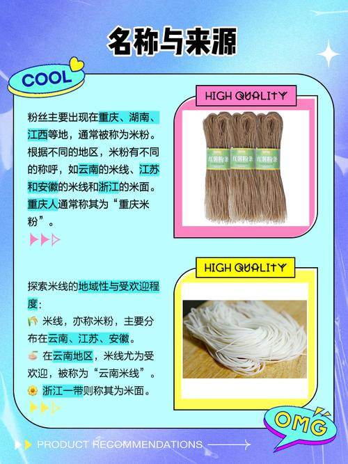 粉丝是什么意思