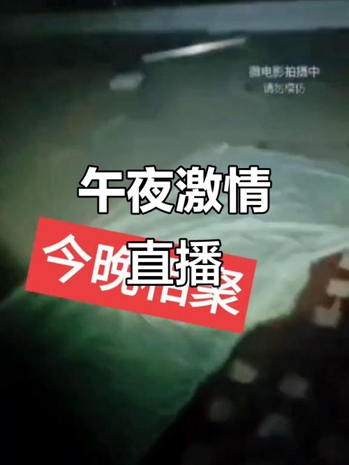 午夜高清直播在线观看金手指版