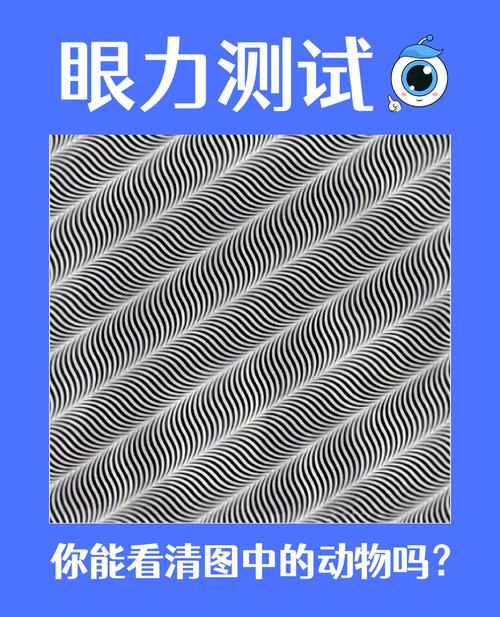 反应力测试