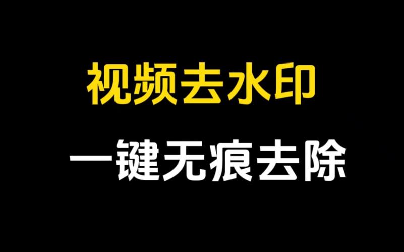 一键无痕视频无需激活GeoMax