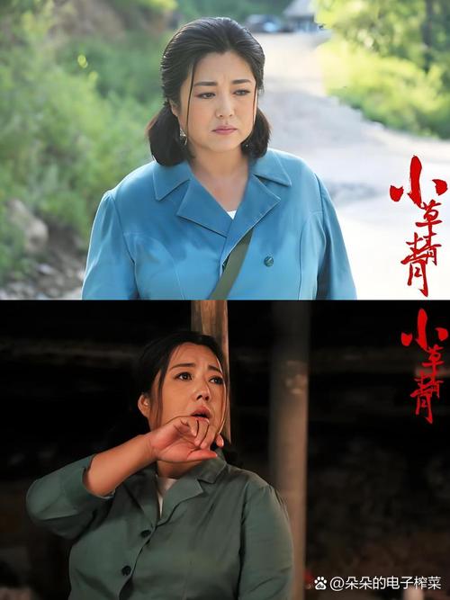 小草青青观看免费福利版