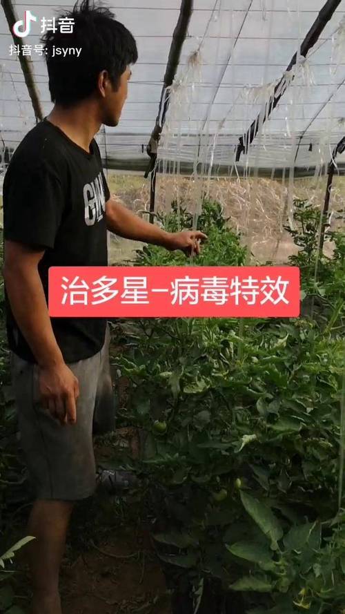 治多星安卓破解完整版