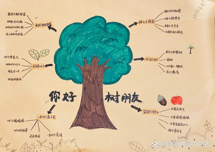 树图思维导图极限流