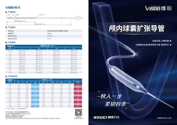 国瑞达臻选Web2破解