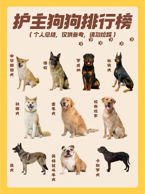 是主人哟