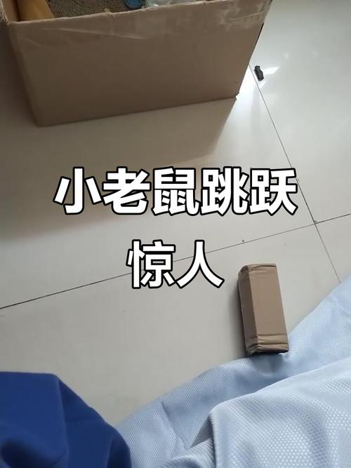 跳得比你远永久会员兑换码