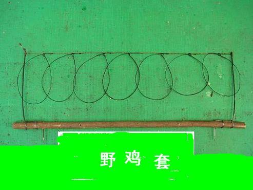 野鸡网24小时地址