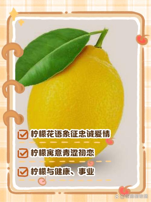 柠檬语聊