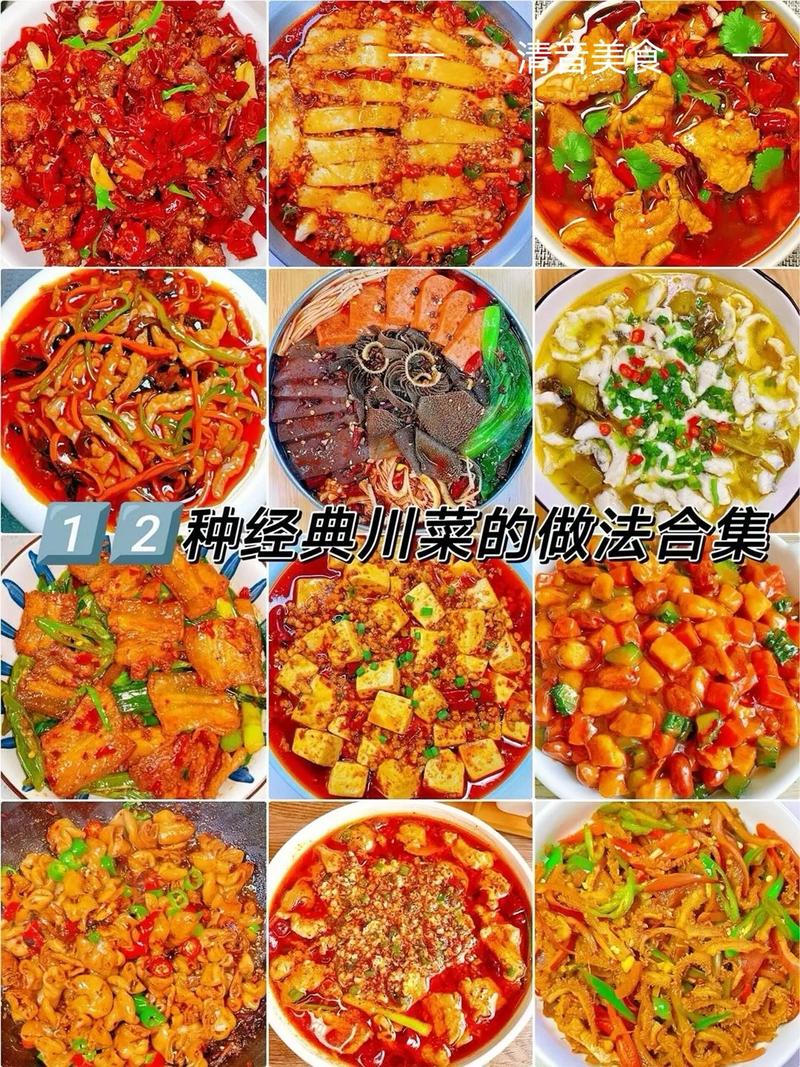 川菜做法大红色版