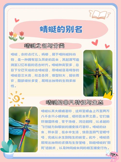 蜻蜓点灯