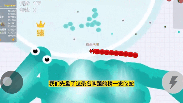 小蛇大作战