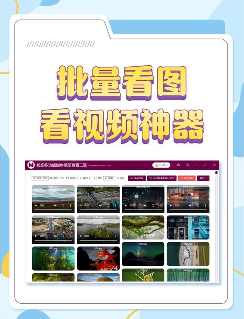站长看片软件