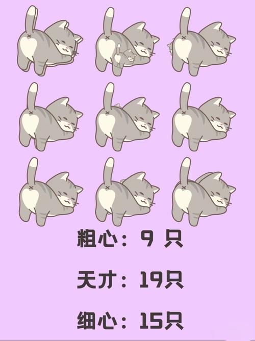 找猫猫