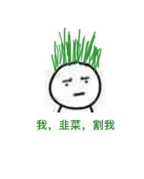 我是一颗韭菜