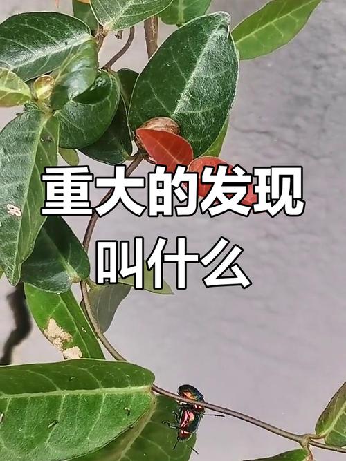 重大秘密