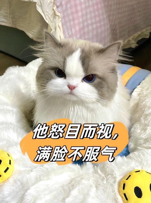 怒刺看脸专属免广告