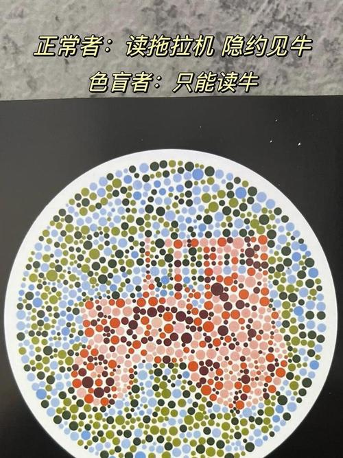测一测你的辨色能力