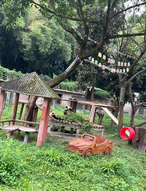 动物园庇护所高清版