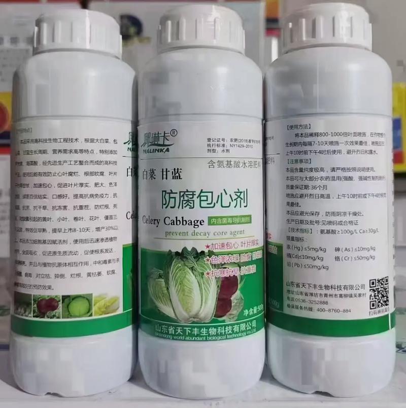达省百优