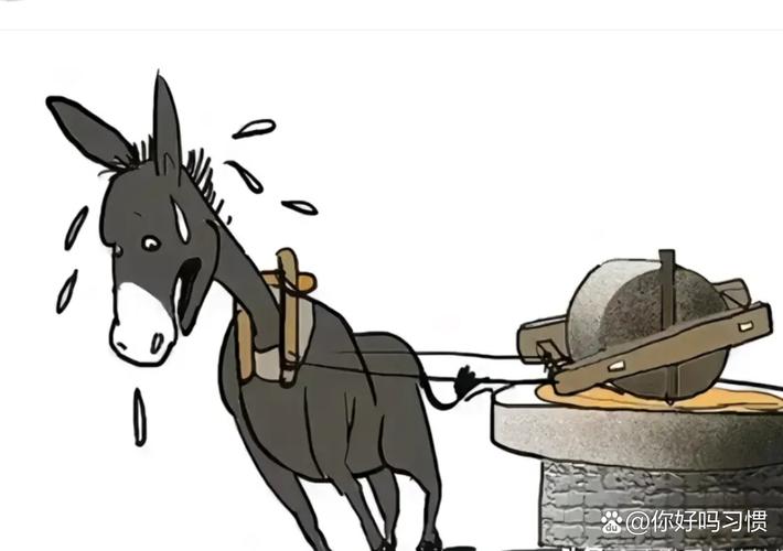 驴驴猜成语
