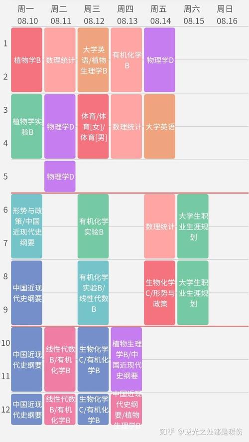 林大课表无删减版