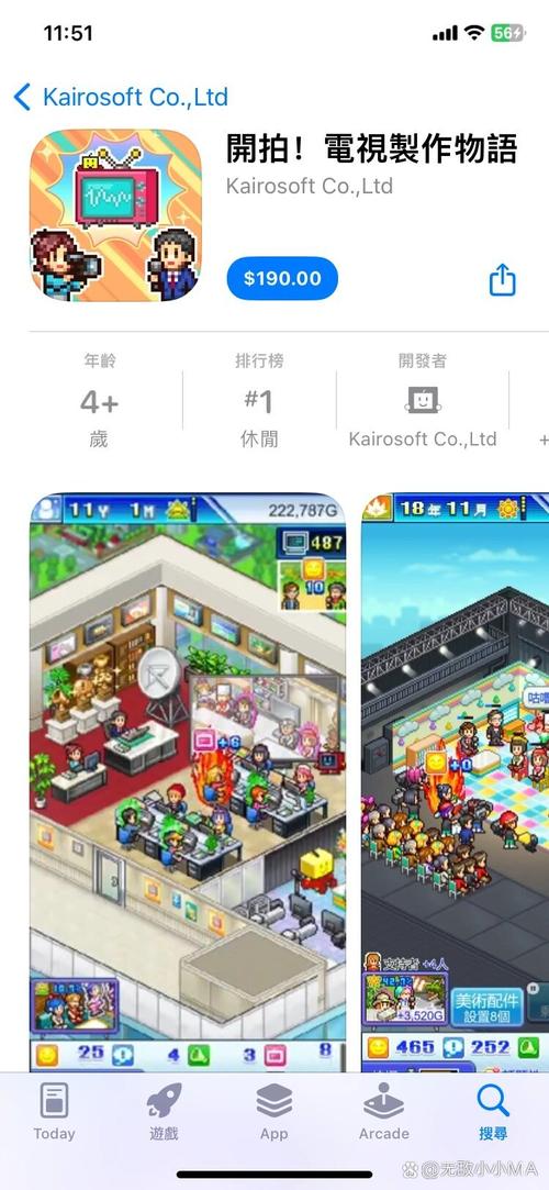 电视制作物语游戏