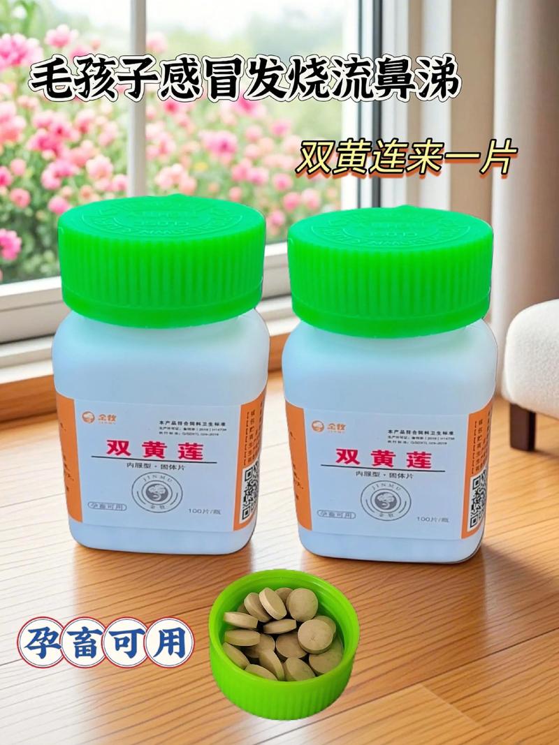 保连康