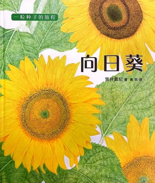 向日葵小说漫画最新版