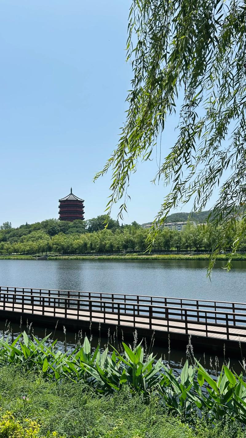 幸福信阳