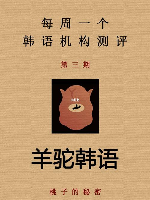 羊驼韩语网课