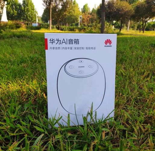 华为AI音箱v11.1.0.309中国区