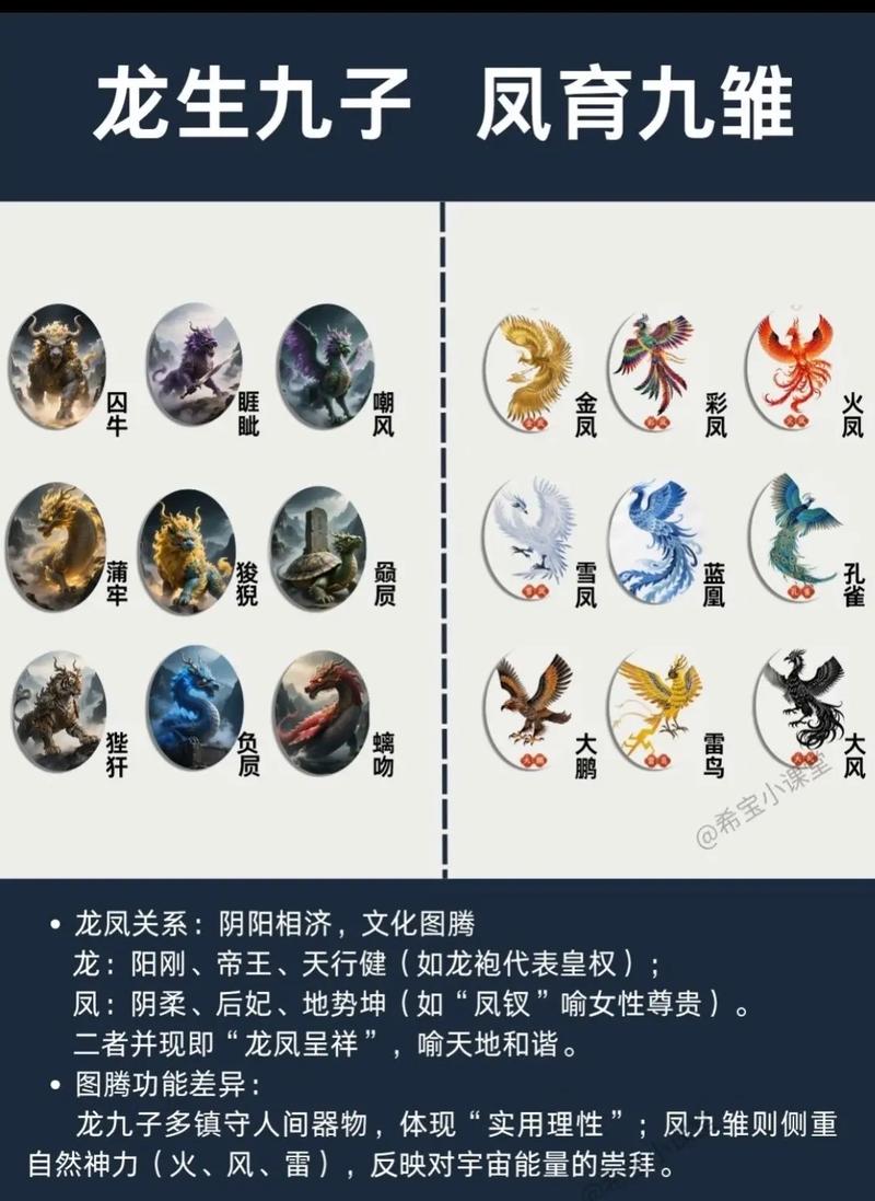 九旭轮回专属高级版