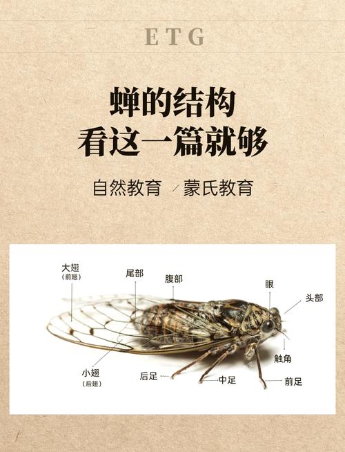 知了医学