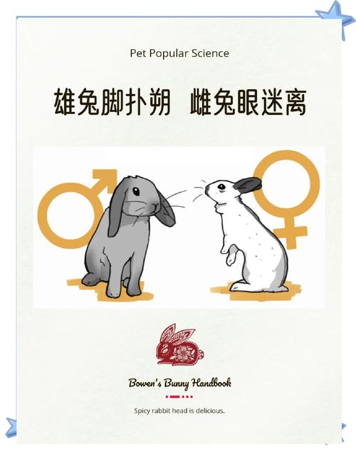 狡兔定位在线阅读