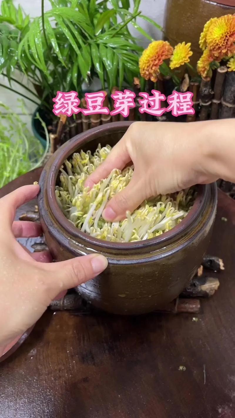 豆芽视频制作免登录版