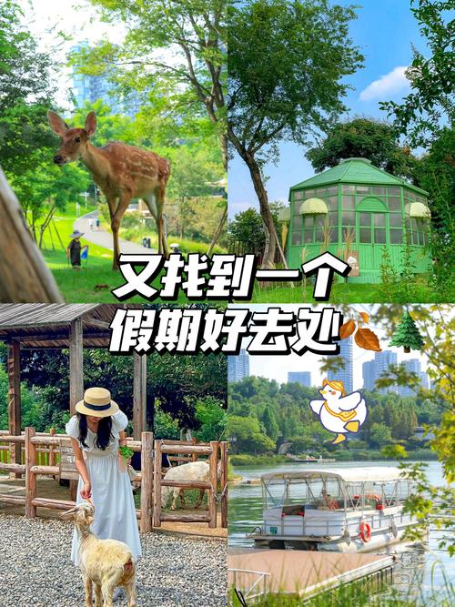 玩美假期安装免广告