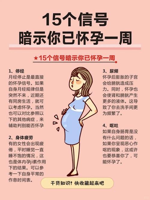 好孕说纯净版