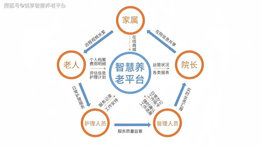 慧养老战略版
