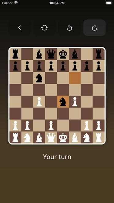 国际棋的狂热(Chess