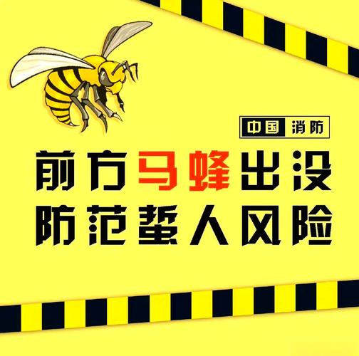 蜂行动