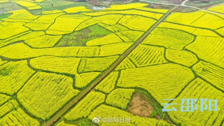 云邵阳无需付费版